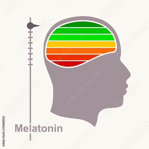 Human head and hormone melatonin level scale. Concept of medicine and pharmacy