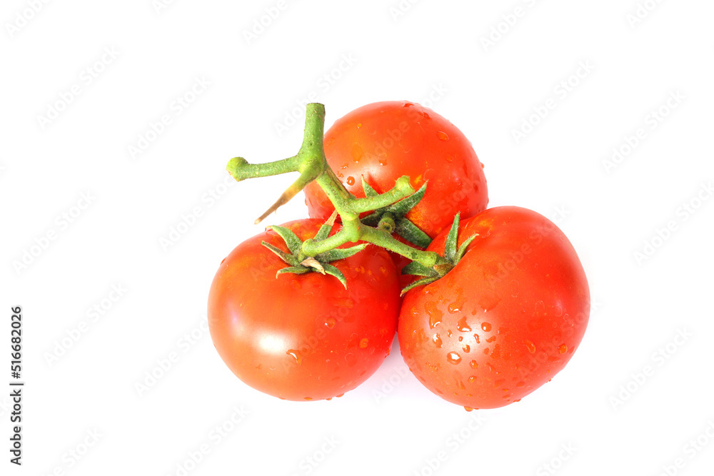 A brush of large tomatoes on a white background. Studio photo, isolate, tomatoes, washed. A brush of large tomatoes on a white background. Studio photo, isolate, tomatoes, washed.