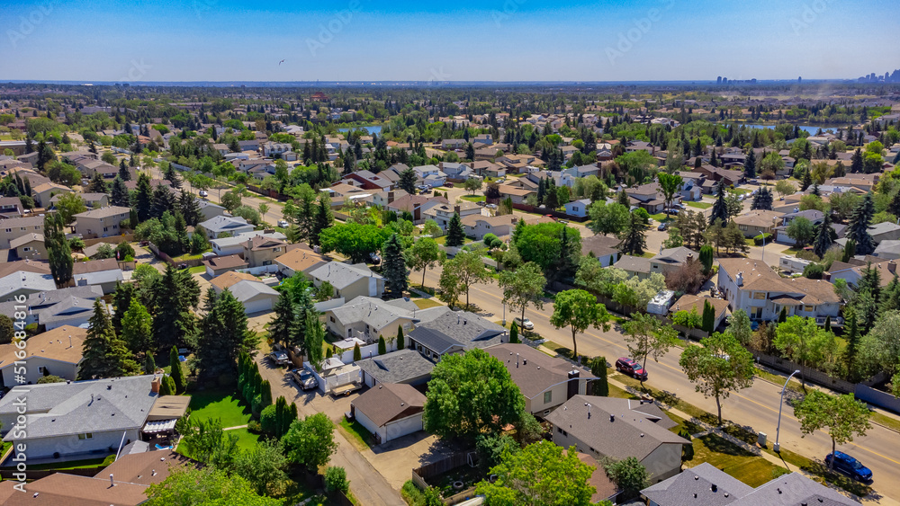houses in neighbourhood, green trees, blue sky, drone shot aerial