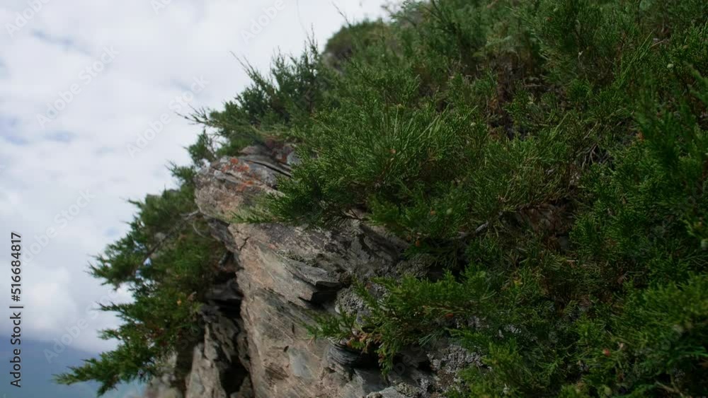 Stone and juniper Stone and juniper
