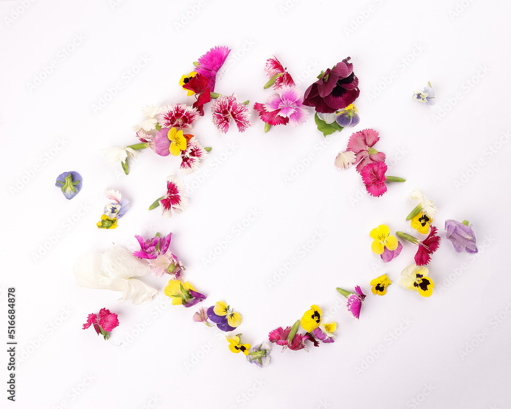 Beautiful colourful yellow violet wite red edible flowers border frame on white background copy text space Beautiful colourful yellow violet wite red edible flowers border frame on white background copy text space