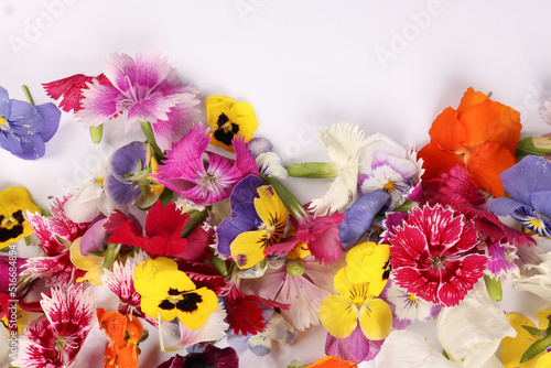 Beautiful colourful yellow violet wite red edible flowers border frame on white background copy text space
