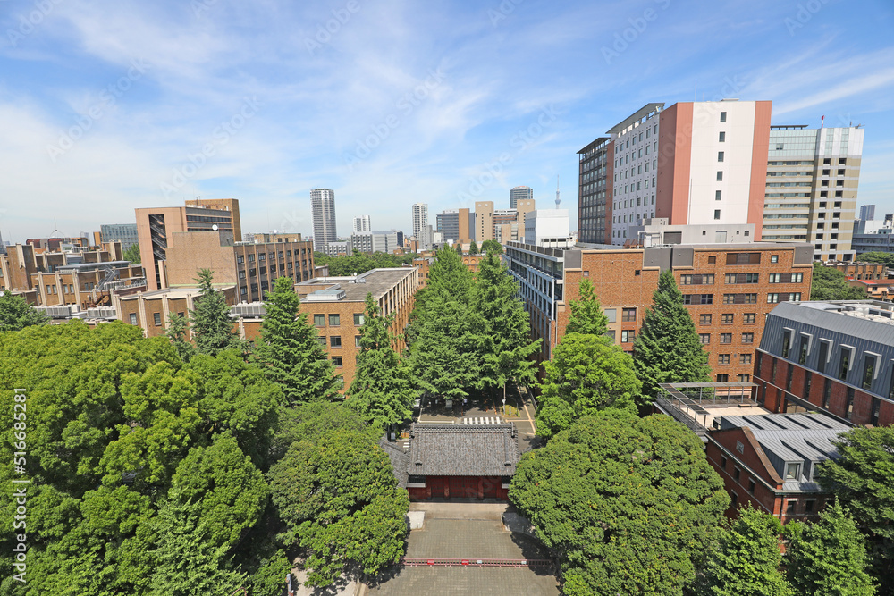 Fototapeta premium 東京大学 本郷キャンパス