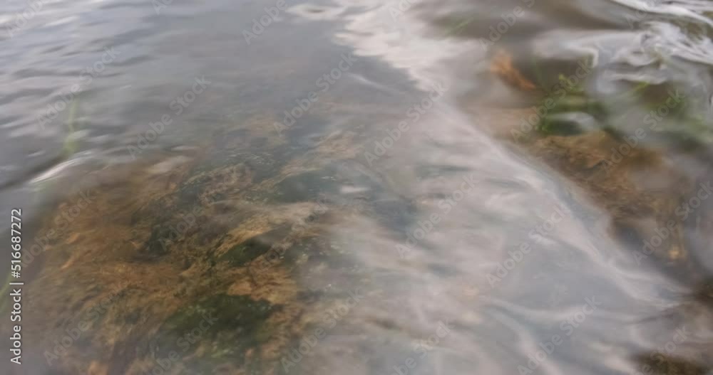 Water and green grass in the river flows slowly close-up Water and green grass in the river flows slowly close-up