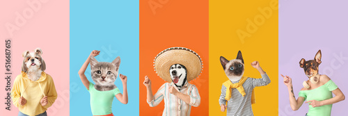 Photography Cute cats and dogs with human bodies on color background with space for text