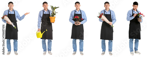 Set of male Asian florist o...