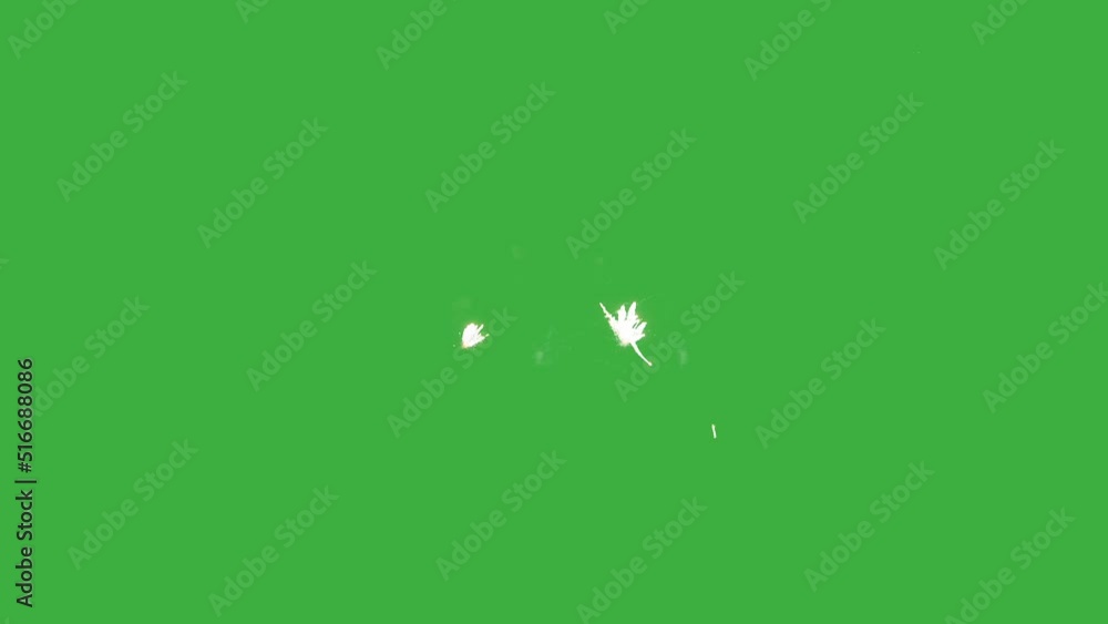 Abstract Firework on green chroma key background, 4th of July independence day concept. High quality 4k chromakey video Abstract Firework on green chroma key background, 4th of July independence day concept. High quality 4k chromakey video