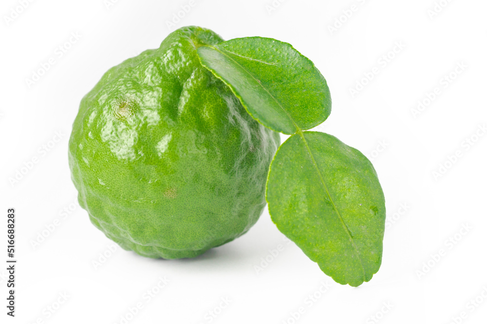 Bergamot fruit on white background. Green bergamot cut in half. Fresh bergamot fruits. Clipping path. Copy space. Image of fresh fruits. Bergamot fruit on white background. Green bergamot cut in half. Fresh bergamot fruits. Clipping path. Copy space. Image of fresh fruits.