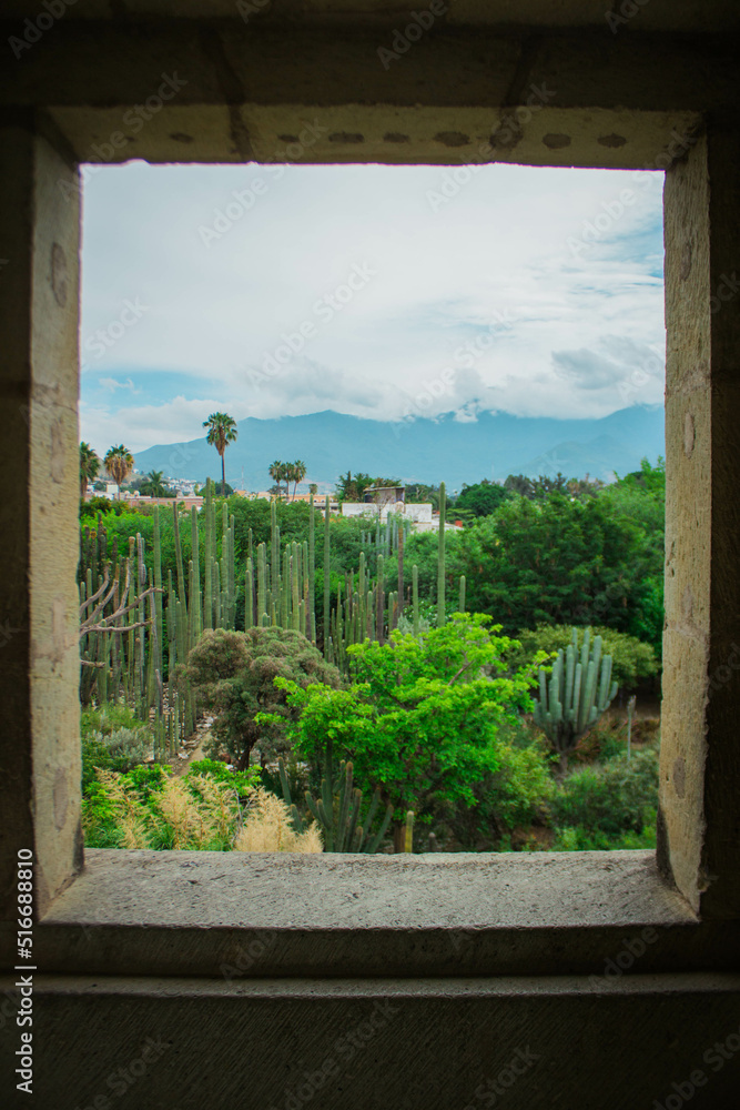 Preciosa toma del Jardín Etonobotánico de Oaxaca desde una ventana.