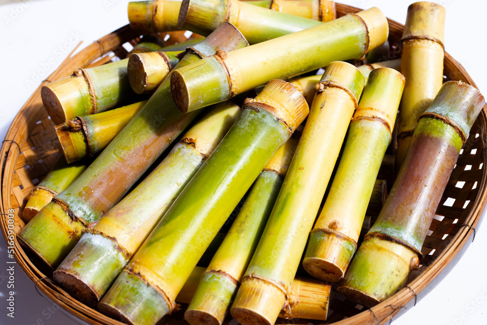 Cut sugar cane for planting Cut sugar cane for planting
