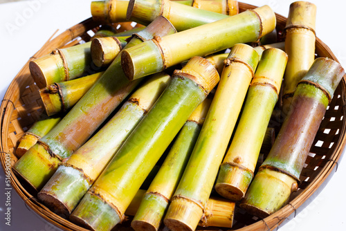 Cut sugar cane for planting