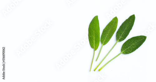 Fresh sage leaves on white background. Top view
