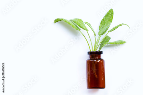 Essential oil bottle with fresh sage leaves on white background. Top view