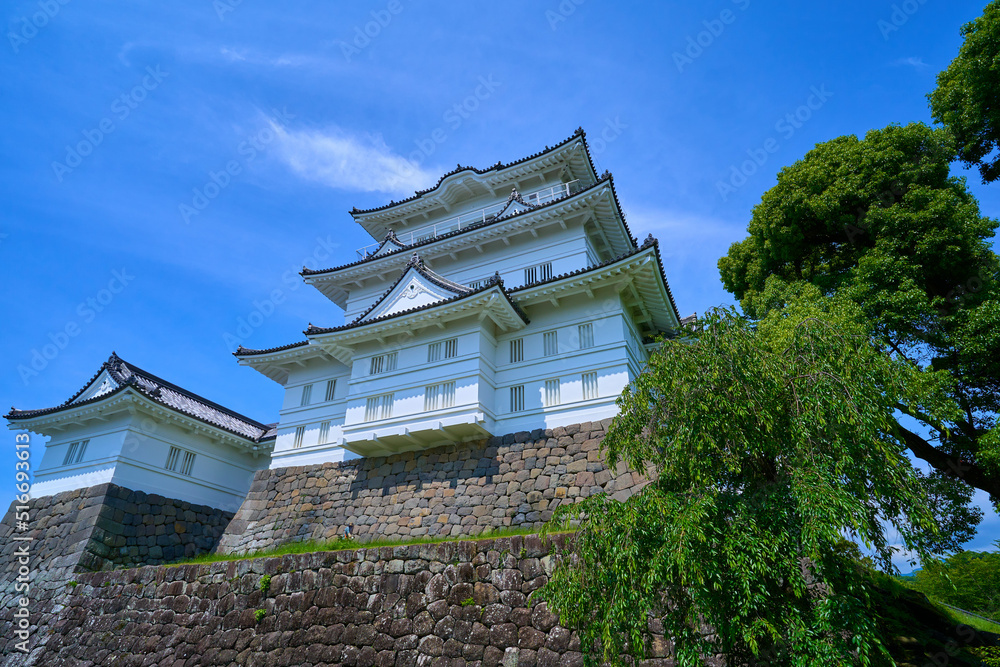 神奈川県小田原市の小田原城を本丸広場から見る