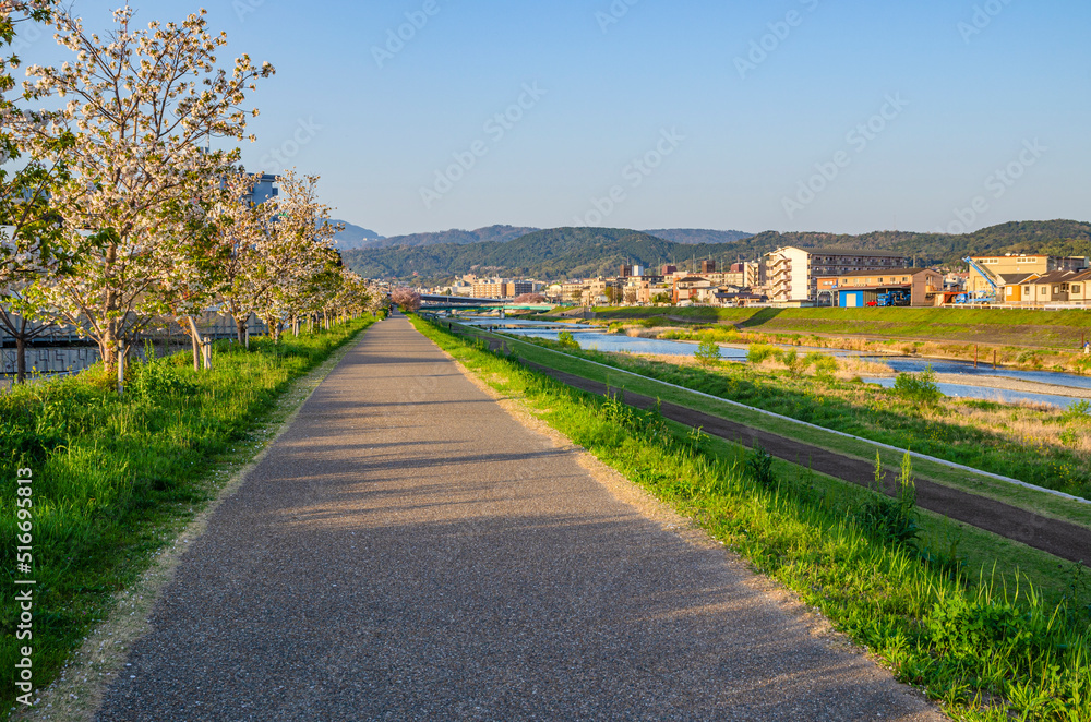 京都の鴨川沿いの遊歩道 京都の鴨川沿いの遊歩道