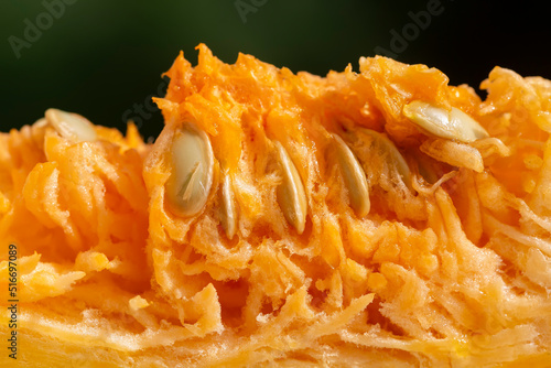 Squash or pumpkin  Muscade de Provence  Muscat de Provence pumpkin  cut with pulp and seeds