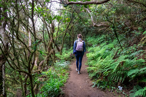 Woman with backpack walking on a hiking trail through the enchanted laurel tropical forest in the Anaga mountain range on Tenerife, Canary Islands, Spain, Europe, EU. Dense diversified fauna. Trekking