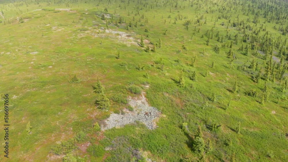 4K Drone Video of Wickersham Dome Trail in the White Mountains of Alaska on Sunny Summer Day 4K Drone Video of Wickersham Dome Trail in the White Mountains of Alaska on Sunny Summer Day