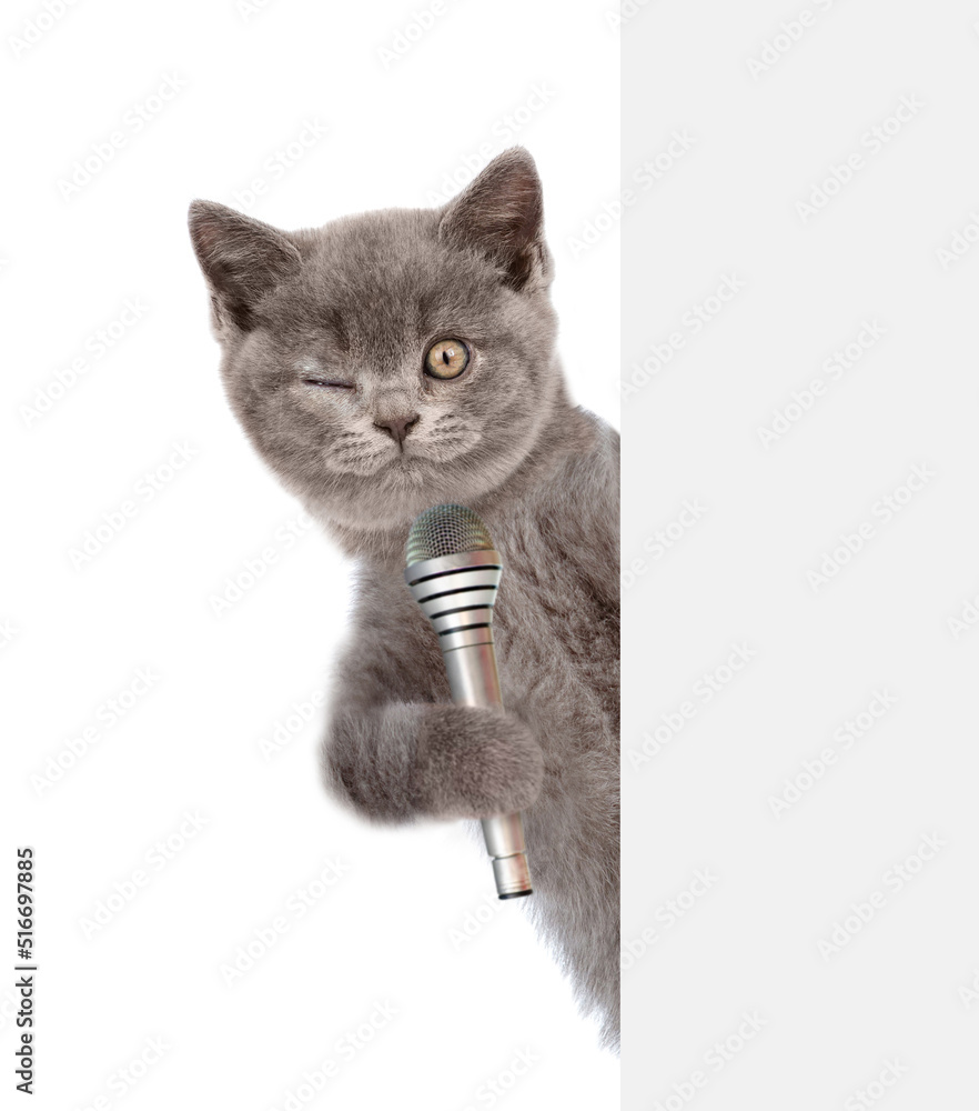 Fototapeta premium Winking cat holds microphone behind empty white banner. isolated on white background