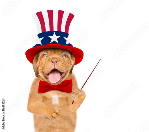 Happy Mastiff puppy wearing like Uncle Sam points away on empty space. isolated on white background © Ermolaev Alexandr