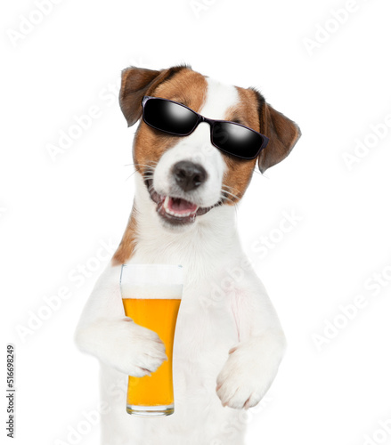 Jack Russell Terrier puppy wearing sunglasses holds mug of the beer. isolated on white background © Ermolaev Alexandr