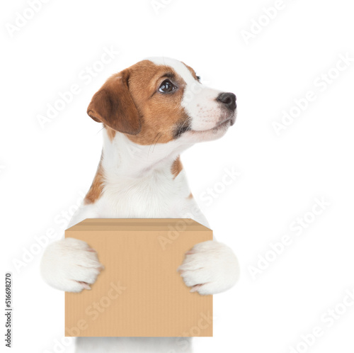 Jack russell terrier puppy holds big box and looks away on empty space. isolated on white background