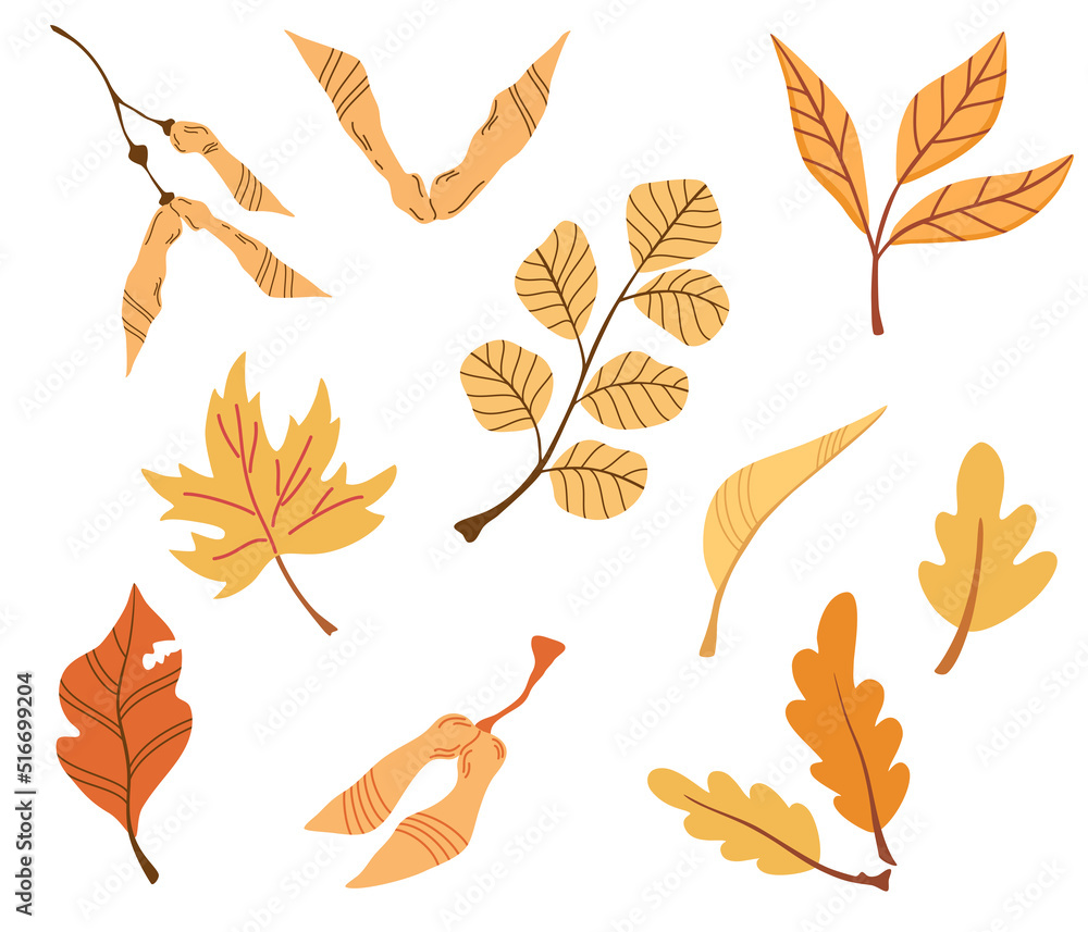 Branch with autumn leaves. Set of Flat botany elements. Modern fall seasonal decor. Floral silhouettes graphic design. Vector hand draw illustration isolated on the white background.