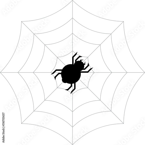 Spider icon