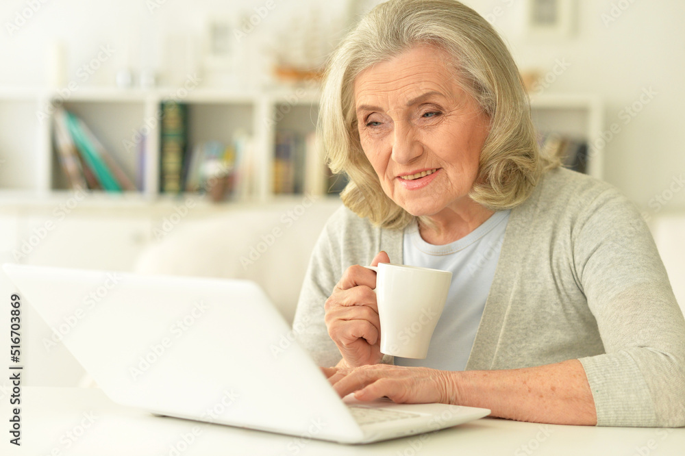 Portrait of senior woman sitting at table with laptop Portrait of senior woman sitting at table with laptop