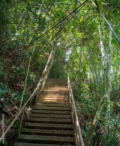 landscape front view nature trail in the forest with the abundance of trees At Khao Yai National Park, Thailand, is a steep wooden staircase leading walkeway up to the Haew Narok Waterfall. photo