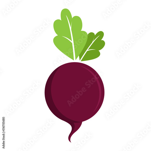 beet root vector illustration flat logo icon 