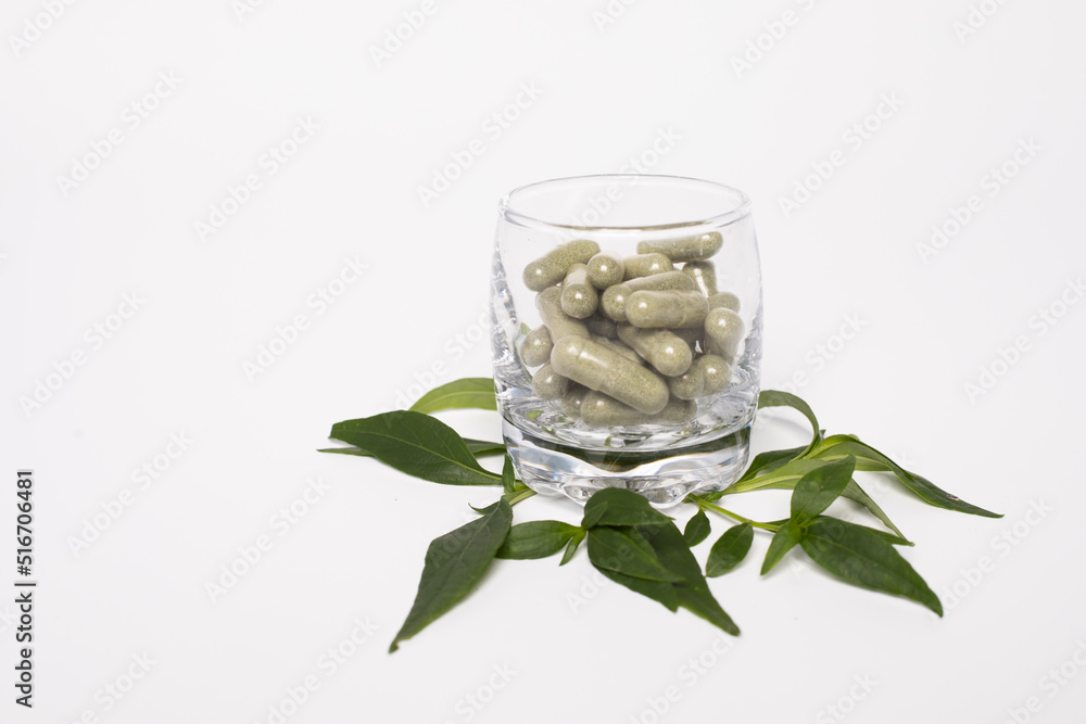 Andrographis Paniculata ,Green chiretta herbal medicine in capsule and fresh leaves in the glass on white background Andrographis Paniculata ,Green chiretta herbal medicine in capsule and fresh leaves in the glass on white background