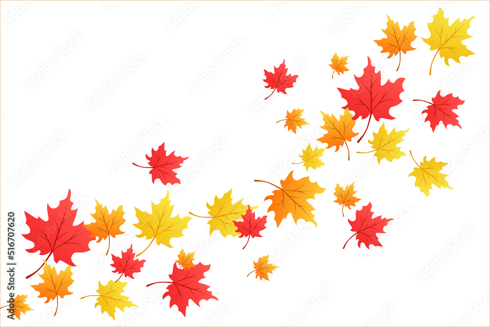 autumn leaves isolated on white