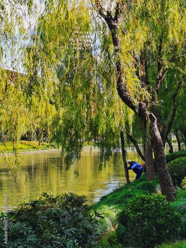 spring in the park