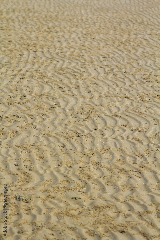 natural streaks of the sandy bottom when the sea recedes create beautiful traces and the naturally formed wrinkles make tourists search and take pictures in the beautiful natural landscape. natural streaks of the sandy bottom when the sea recedes create beautiful traces and the naturally formed wrinkles make tourists search and take pictures in the beautiful natural landscape.