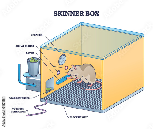 Skinner box or operant conditioning chamber experiment outline diagram. Labeled educational laboratory apparatus structure for mouse or rat experiment to understand animal behavior vector illustration photo