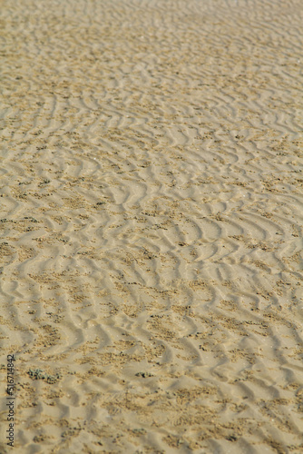 natural streaks of the sandy bottom when the sea recedes create beautiful traces and the naturally formed wrinkles make tourists search and take pictures in the beautiful natural landscape.