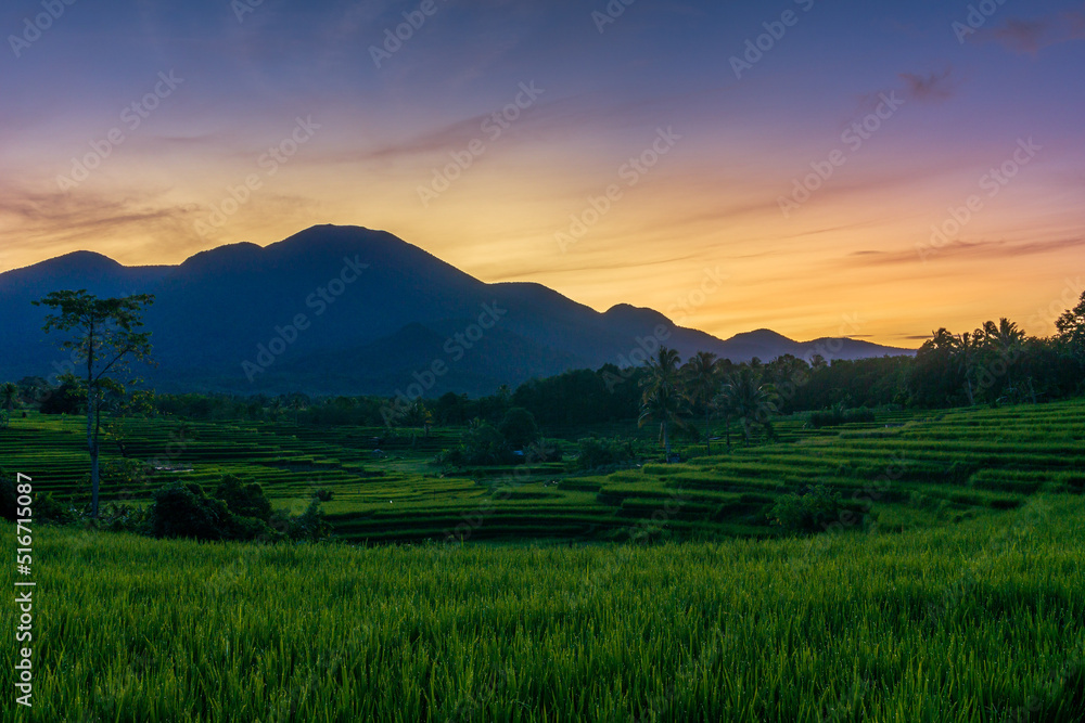 panorama of the natural beauty of asia. view of the rice terraces on the mountain range