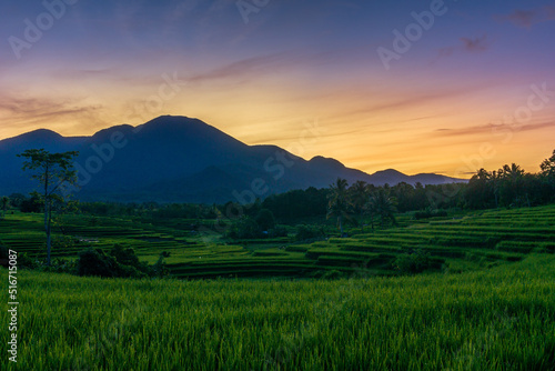 panorama of the natural beauty of asia. view of the rice terraces on the mountain range