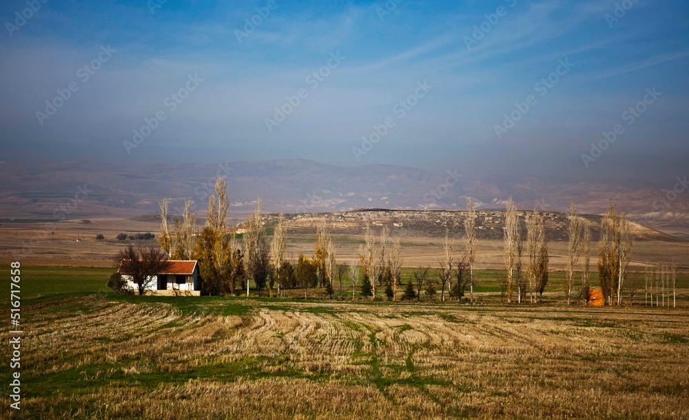 Fototapeta premium village 