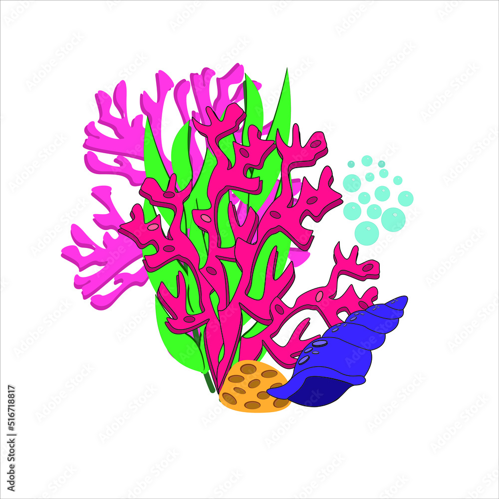 Seashell on the background of algae and corals. Vector ocean world. Aquatic ecosystem. Illustration of underwater life. Aquarium underwater marine life nature, icons, isolated vector illustrations. Us Seashell on the background of algae and corals. Vector ocean world. Aquatic ecosystem. Illustration of underwater life. Aquarium underwater marine life nature, icons, isolated vector illustrations. Us