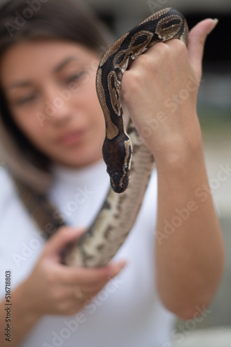 Closeup of python snake held by the young woman