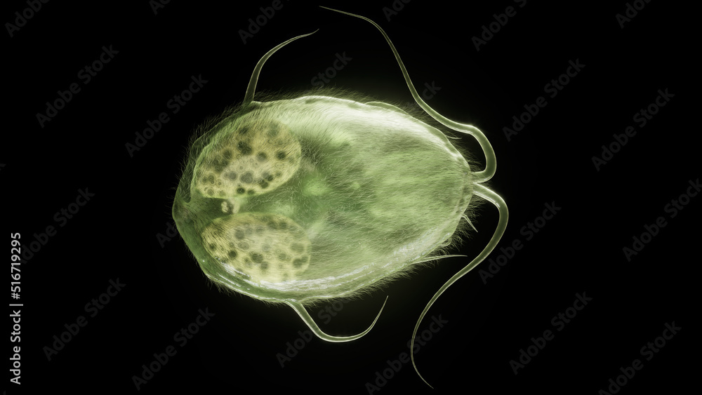 Giardia intestinalis as Closeup 3D Rendering Stock Illustration