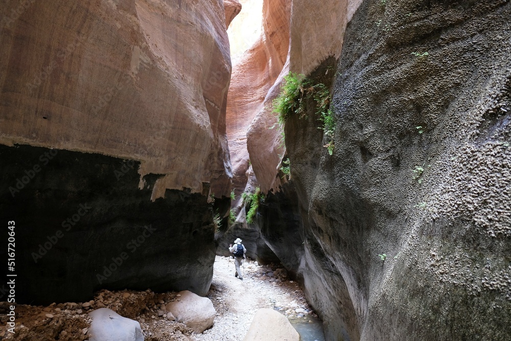 Dana Biosphere Reserve in Jordan. Amazing rocks in Wadi Ghuweir Canyon. Silhouette of hiking person on trail.  - obrazy, fototapety, plakaty 