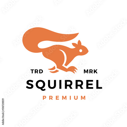 squirrel logo vector icon illustration
