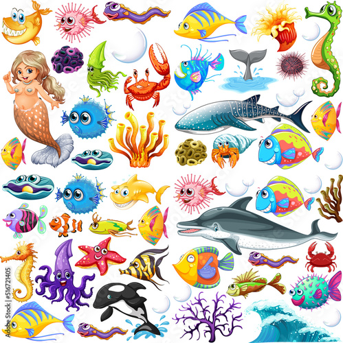 Different types of sea animals