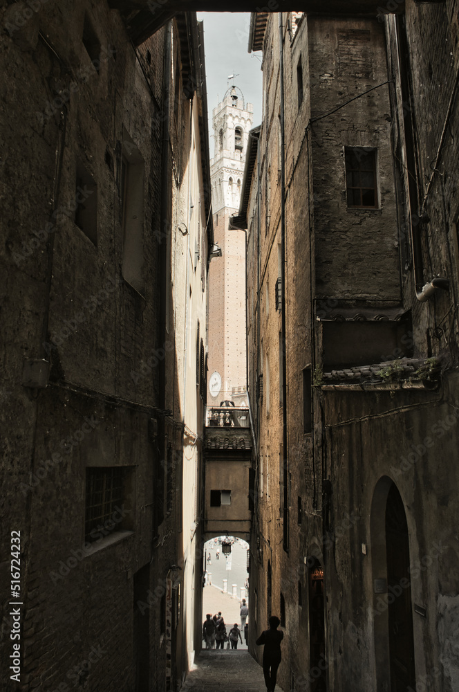 Alley leading to the Piazza del Campo and Torre del Mangia, Siena, Italy