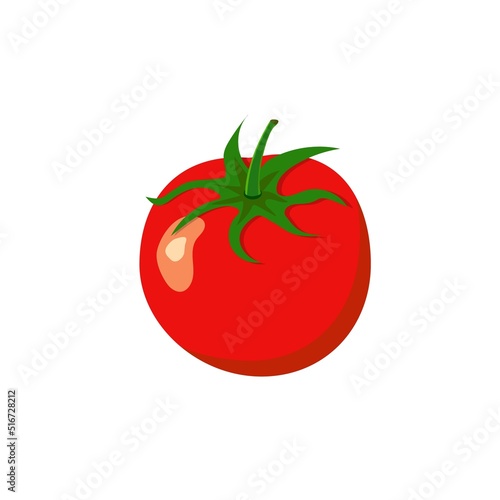 Vector illustration of red ripe tomato. Healthy plant base diet vegetables Italian cuisine concept