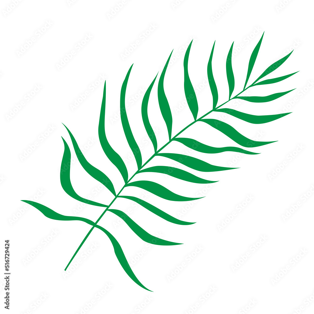Tropical leaf vector illustration on white background