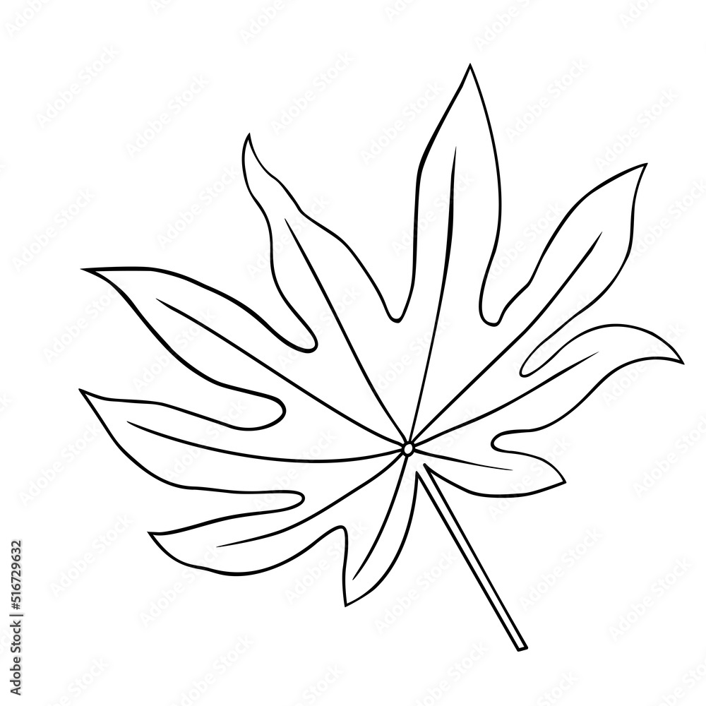 Tropical leaf vector illustration on white background